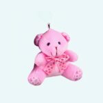 Plush Bear Key Chain Pink Plush Bear Plush Animals