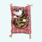 Plush brown tabby cat sleeping on a light blue background.