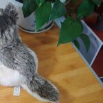 Siberian Grey Wolf Plush Material: Cotton