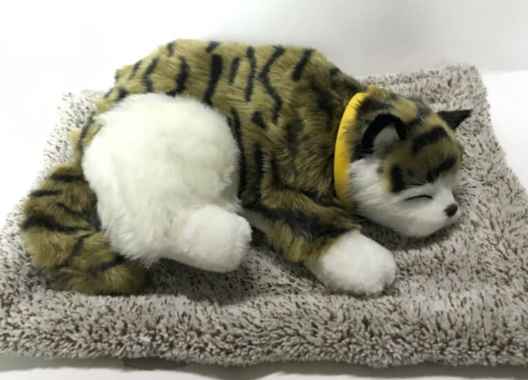 Peluche chat tigré vert endormi Peluche Animaux Peluche Chat Tranche d'âge: > 2 ans