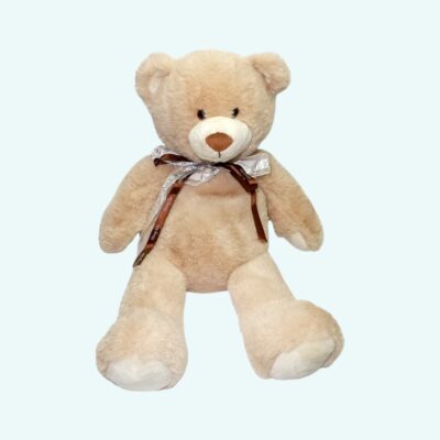 Baby Bear Removable Cover Warming Plush